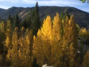 A thumb nail view of Grand Lake, Colorado during Constitution Week in September looking at aspen trees changing color in town with the Shadow Mountain in the background; click here to open a window with a larger picture.